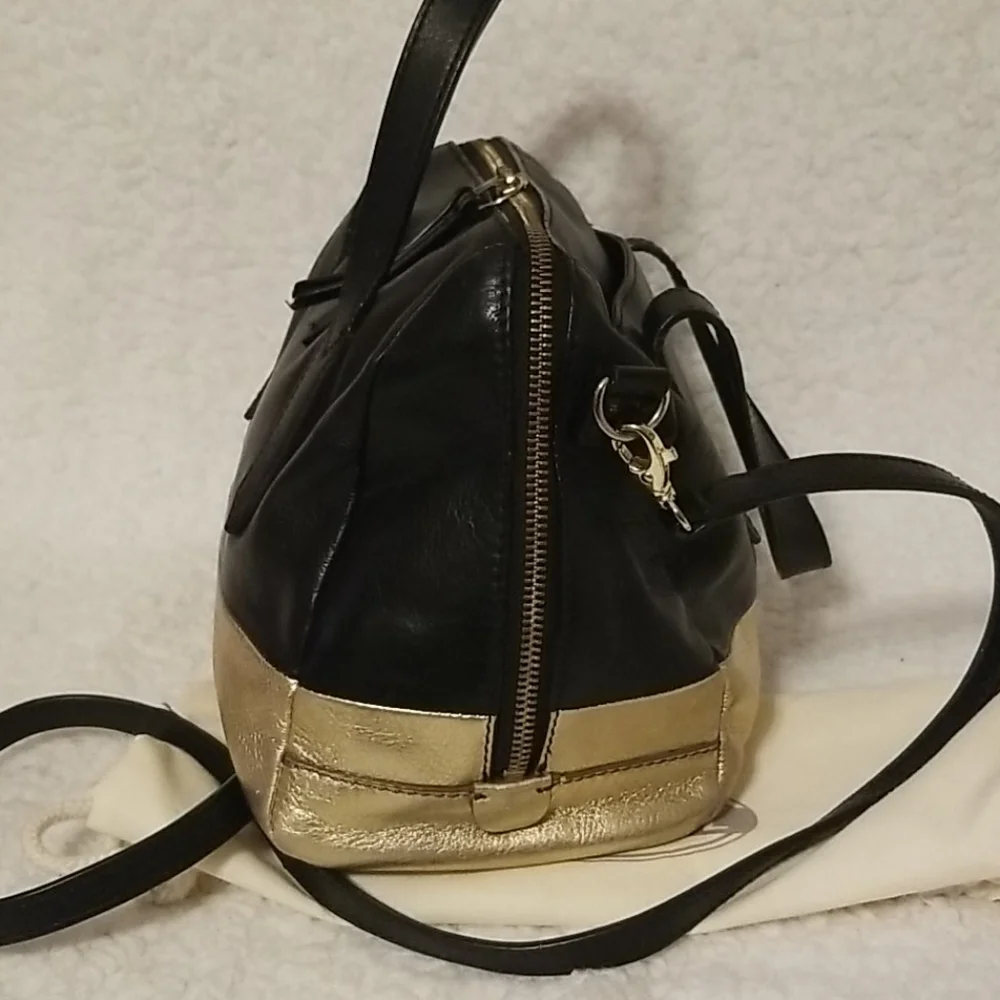 Fossil Sydney Original Satchel + Original Dust Cover